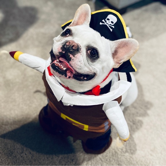 Meet your Posher - Picture 3 of 5